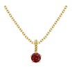 January Birthstone Silver Necklace SPE-5689